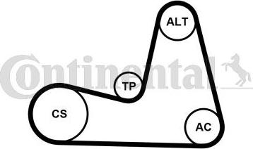 Continental CTAM 7PK1035K1 - Komplet klinastog rebrastog remena parts5.com