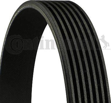 Continental CTAM 7 PK 1635 - V-Ribbed Belt parts5.com