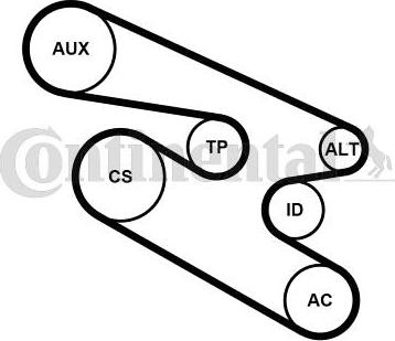 Continental CTAM 7PK1104K1 - Set curea transmisie cu caneluri parts5.com