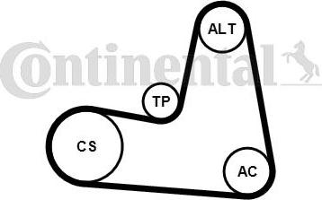 Continental CTAM 7PK1125K1 - Keilrippenriemensatz parts5.com