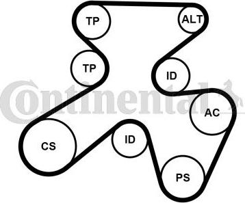 Continental CTAM 7PK1855K1 - Set curea transmisie cu caneluri parts5.com