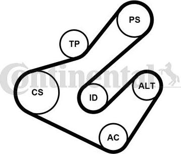 Continental CTAM 7PK1795K2 - V-Ribbed Belt Set parts5.com