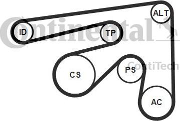 Continental CTAM 7PK2061K1 - Komplet rebrastega jermena parts5.com