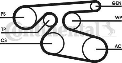 Continental CTAM 7 PK 2000 - Correa trapecial poli V parts5.com