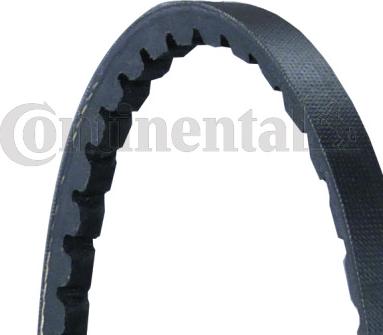 Continental CTAM AVX10X965 - Τραπεζοειδής ιμάντας parts5.com