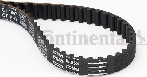 Continental CTAM CT 1067 - Pasek rozrządu parts5.com