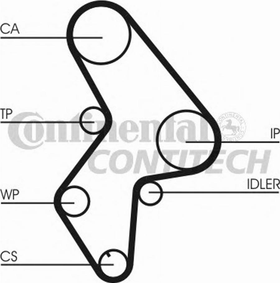 CONTITECH CT1031 - Hammashihnat parts5.com