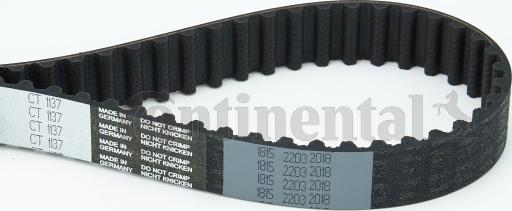 Continental CTAM CT 1137 - Curea de distributie parts5.com