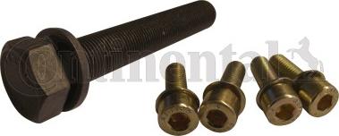 Continental CTAM MS10 - Set surub, disc curea-arbore cotit parts5.com