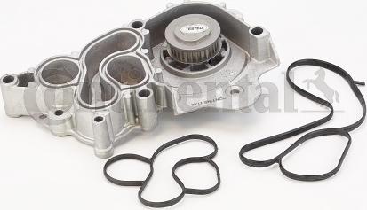 Continental CTAM WP6094 - Pumpa za vodu parts5.com