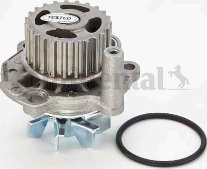 Continental CTAM WP 6041 - Αντλία νερού parts5.com