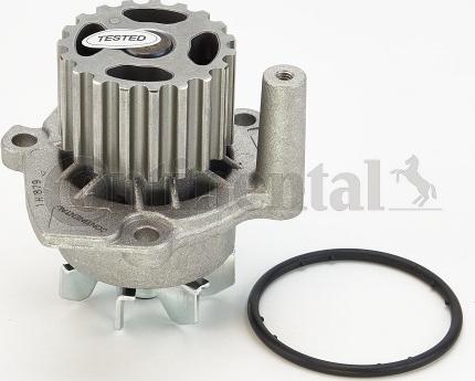 Continental CTAM WP6001 - Αντλία νερού parts5.com