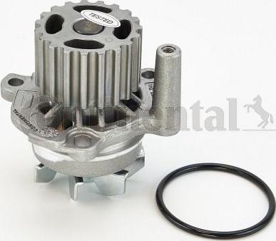 Continental CTAM WP6003 - Veepump parts5.com