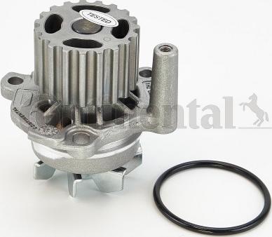 Continental CTAM WP6003 - Αντλία νερού parts5.com