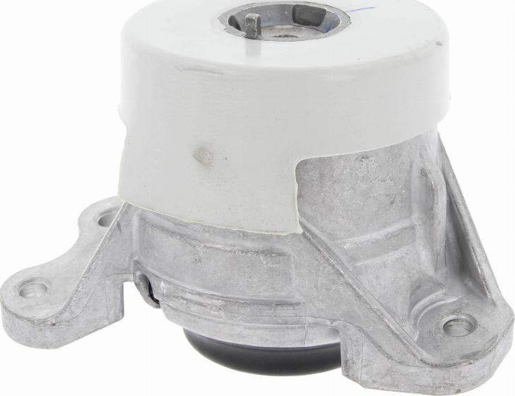 Corteco 49427600 - Uležištenje, motor parts5.com