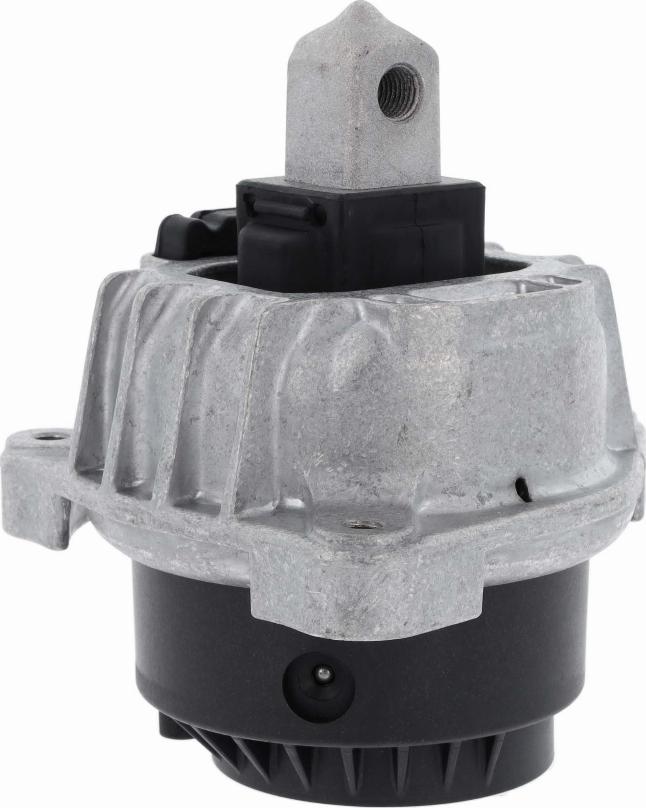 Corteco 49357937 - Uležištenje, motor parts5.com