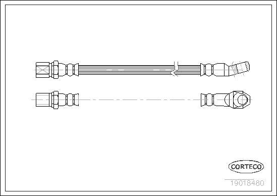 Corteco 19018480 - Furtun frana parts5.com