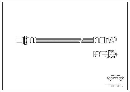 Corteco 19018197 - Furtun frana parts5.com