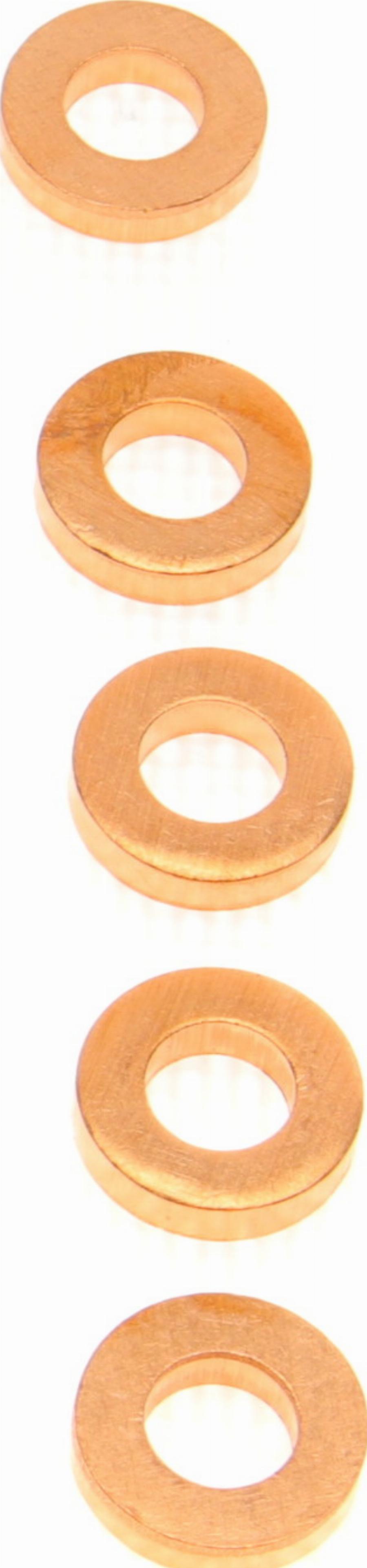 Delphi 9001-850C - Seal Ring, injector shaft parts5.com