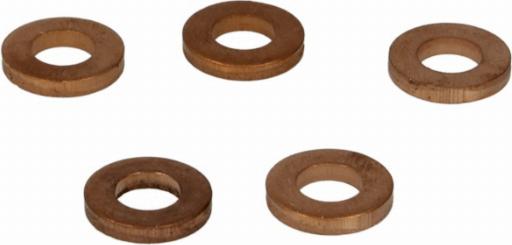 Delphi 9001-850D - Tesnilni obroc, ventil za vbrizgavanje parts5.com