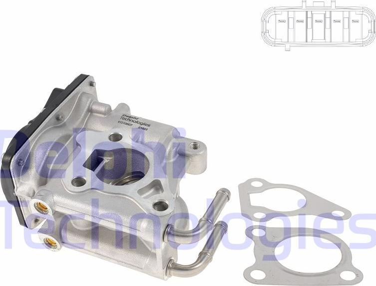 Delphi EG10607-12B1 - EGR-klapp parts5.com