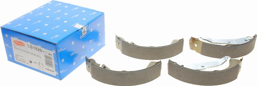 Delphi LS1829 - Brake Shoe Set parts5.com