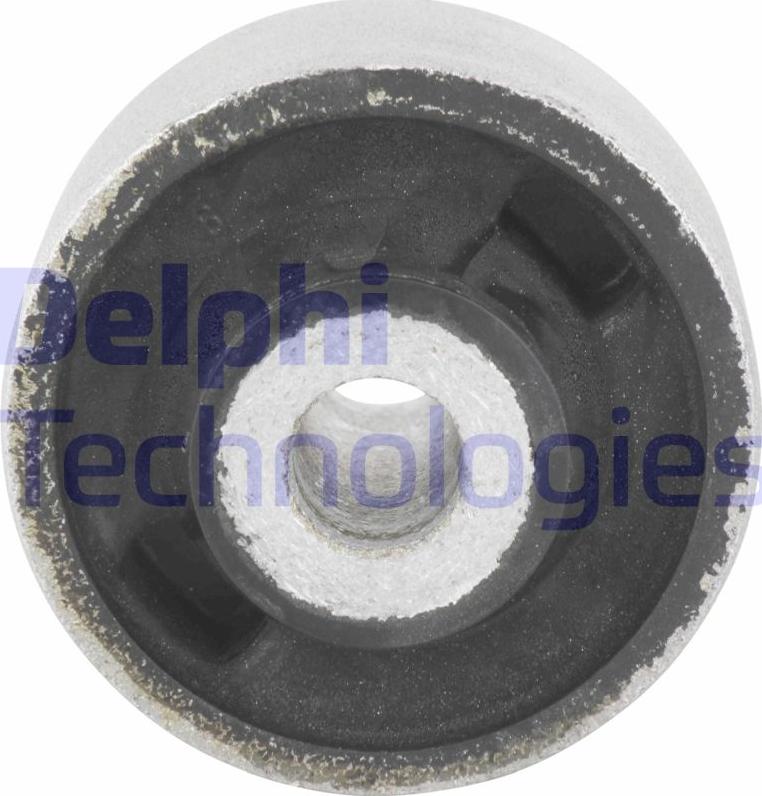 Delphi TD437W - Тампон, носач parts5.com