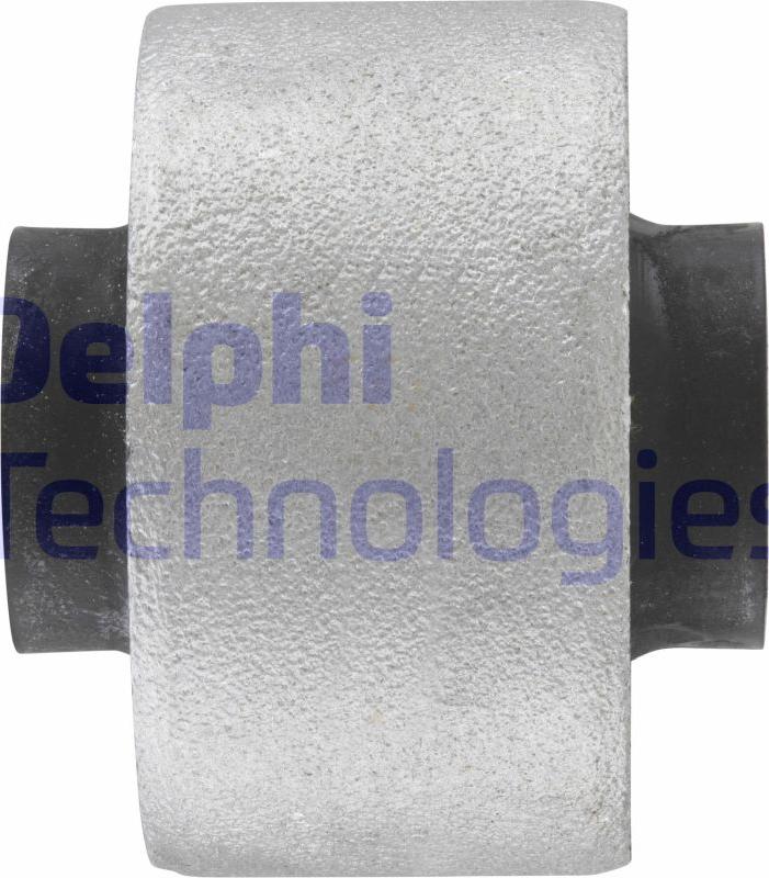 Delphi TD437W - Тампон, носач parts5.com