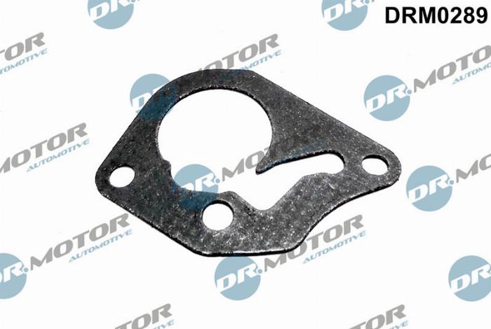 Dr.Motor DRM0289 - Φλάντζα, αντλία υποπίεσης parts5.com