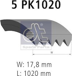 DT Spare Parts 6.31501 - V-Ribbed Belt parts5.com