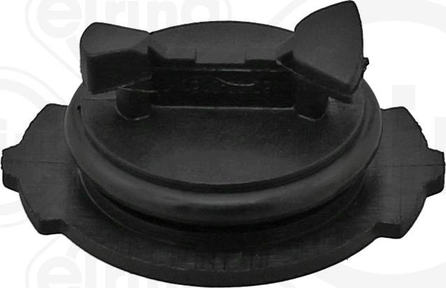 Elring 996.910 - Surub golire, carcasa transmisie parts5.com