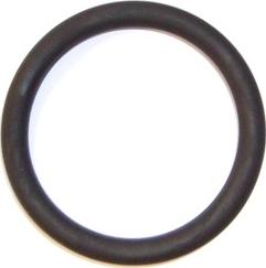 Elring 570.120 - Tesnilo, cev za hladilno sredstvo parts5.com