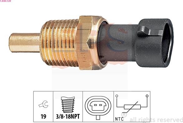 EPS 1.830.129 - Sensor, oil temperature parts5.com