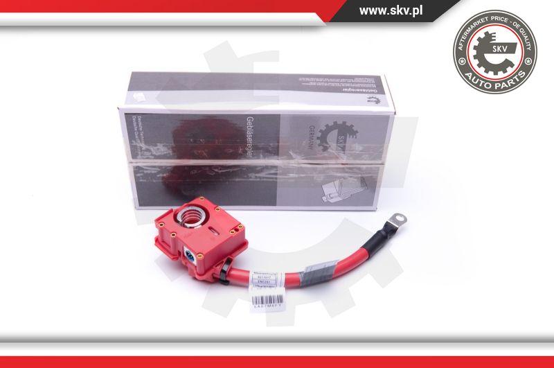 Esen SKV 96SKV309 - Adpatador batería parts5.com