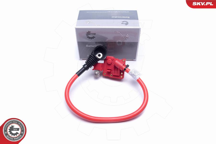 Esen SKV 96SKV311 - Adaptor acumulator parts5.com