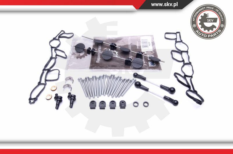 Esen SKV 49SKV501 - Kit de reparación, módulo de tubo de aspiración parts5.com