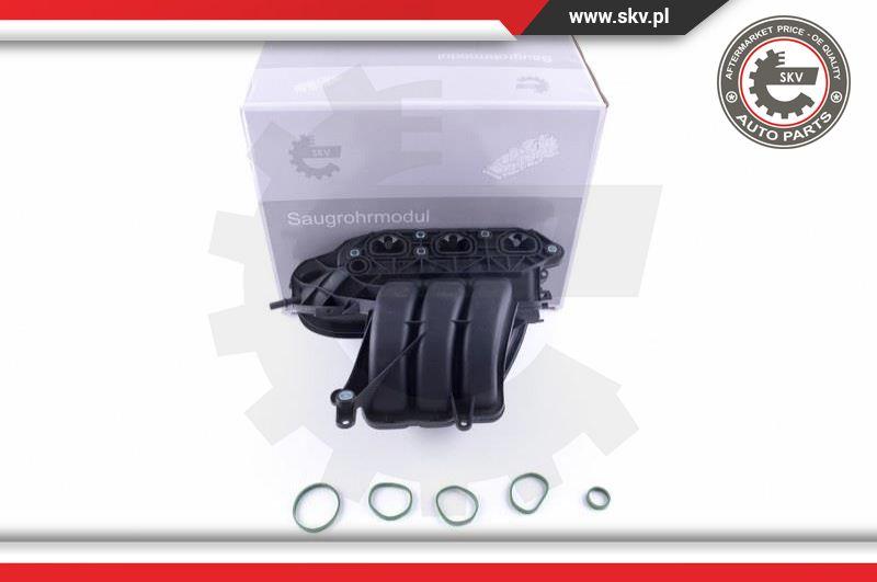 Esen SKV 49SKV056 - Модуль впускной трубы parts5.com