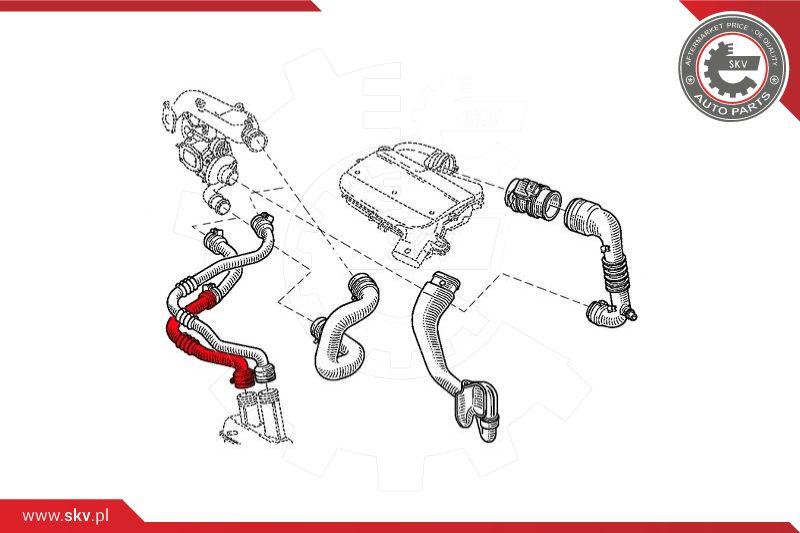 Esen SKV 43SKV280 - Şarj havası hortumu parts5.com