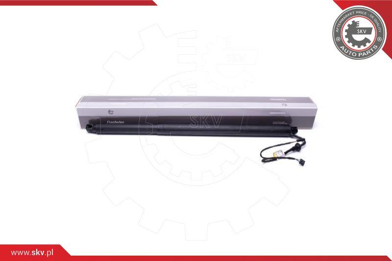 Esen SKV 52SKV946 - Elektrimootor, tagaluuk parts5.com