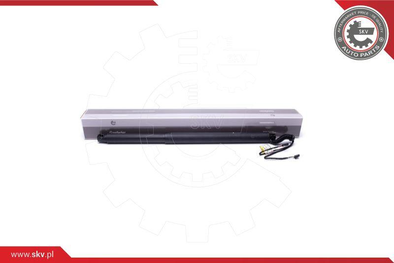 Esen SKV 52SKV942 - Motor electric, haion parts5.com