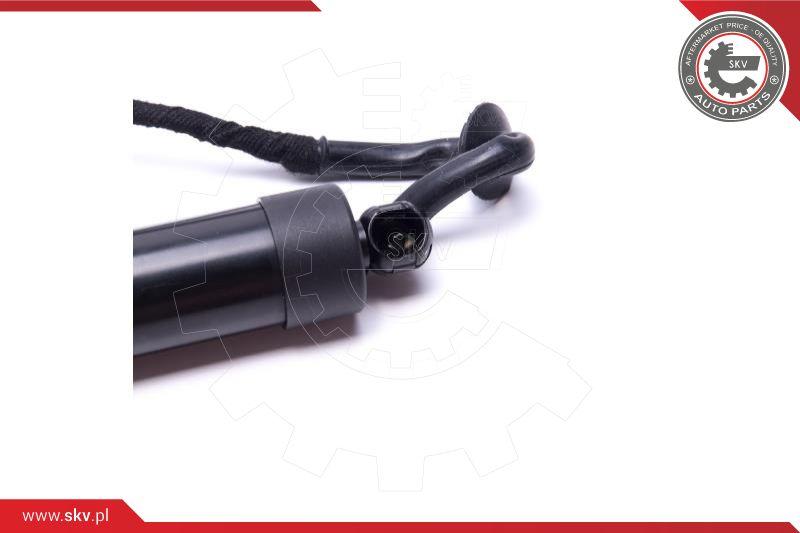 Esen SKV 52SKV906 - Motor electric, haion parts5.com