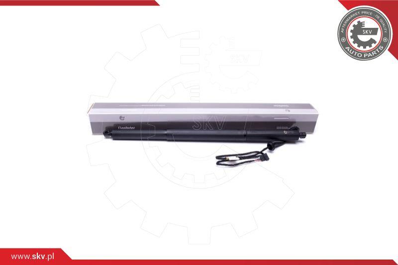 Esen SKV 52SKV929 - Motor electric, haion parts5.com