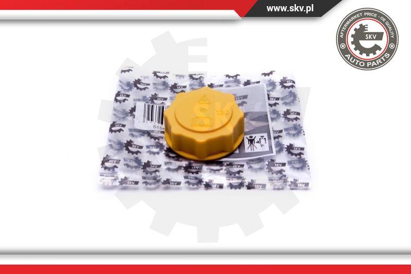 Esen SKV 61SKV007 - Sealing Cap, coolant tank parts5.com