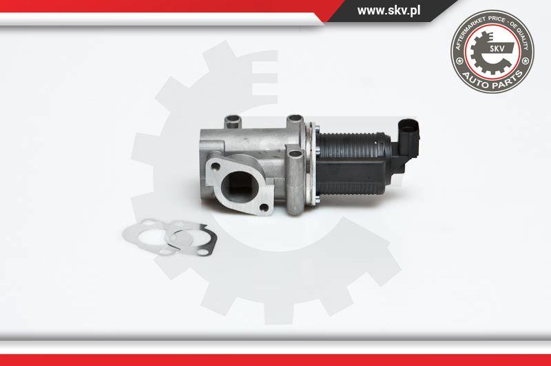 Esen SKV 14SKV006 - Supapa EGR parts5.com