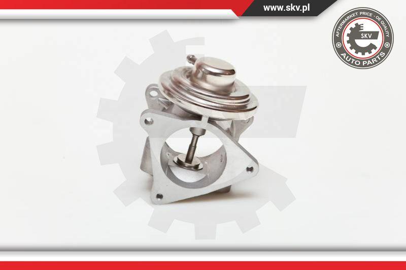 Esen SKV 14SKV019 - Válvula EGR parts5.com