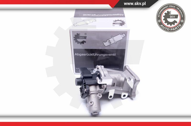 Esen SKV 14SKV171 - EGR Valve parts5.com