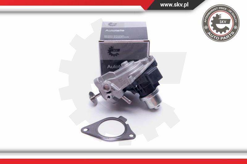 Esen SKV 14SKV233 - Supapa EGR parts5.com