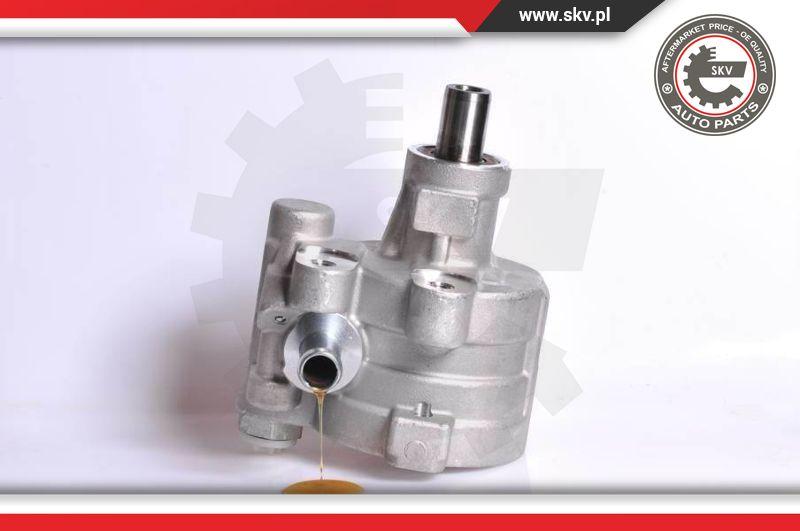 Esen SKV 10SKV180 - Hidrolik pompası, direksiyon parts5.com