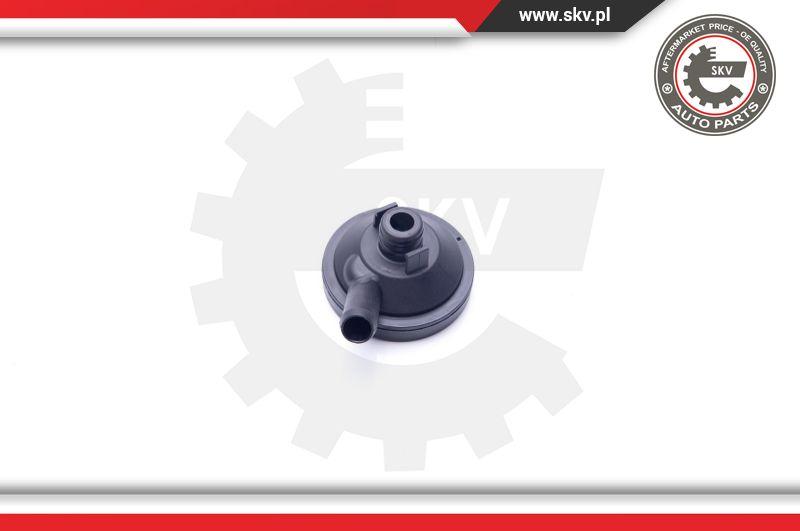 Esen SKV 31SKV097 - Yağ ayırıcısı, motor bloğu hava tahliyesi parts5.com