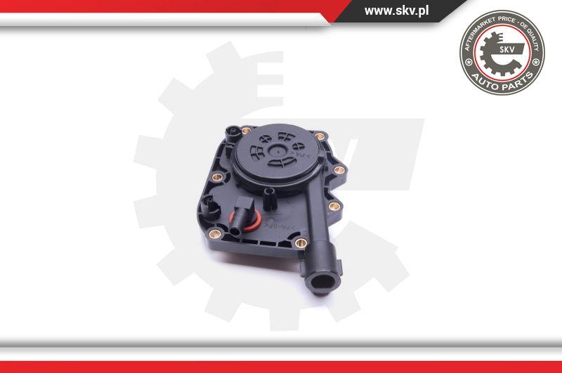 Esen SKV 31SKV103 - Komplet za popravilo, odzracevalnik ohisja motorja parts5.com